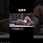 堀口恭司が強すぎる😭#格闘技 #総合格闘技 #rizin #mma #おもしろ動画 #堀口恭司 #金太郎