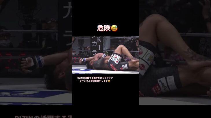 堀口恭司が強すぎる😭#格闘技 #総合格闘技 #rizin #mma #おもしろ動画 #堀口恭司 #金太郎