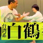 【初公開】浅井星光もう一つの家伝武術【白鶴拳】初公開