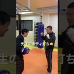 [キックボクシング　格闘技　トレーニング]  先生のボディ打ち👊　　#キックボクシング #格闘技 #トレーニング