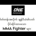 One Championship ဝိတ်တန်းအလိုက် ချန်ပီယံ ခါးပတ် ပိုင်ဆိုင်ထားသော MMA Fighterများ