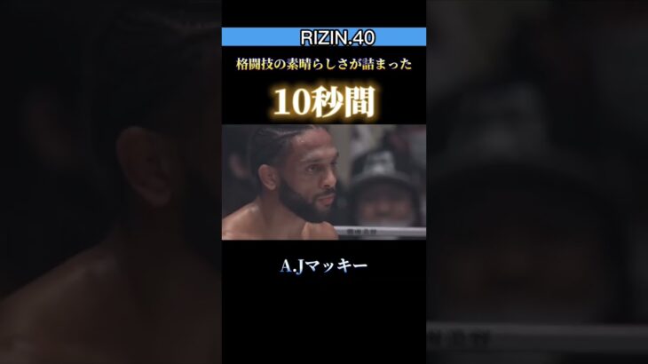 【RIZIN.40】格闘技の素晴らしさがここにある。 #rizin #bellator #格闘技