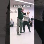 The Guide to Strikes
