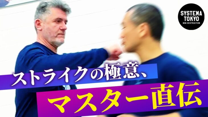 【直伝】マスターが教えるストライクの極意【衝撃】Vladimir gives tips on Systema Strike.