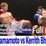 Yuya Yamamoto vs Kerrith Bhella 2014.11.3 Yoyogi National Stadium second gymnasium