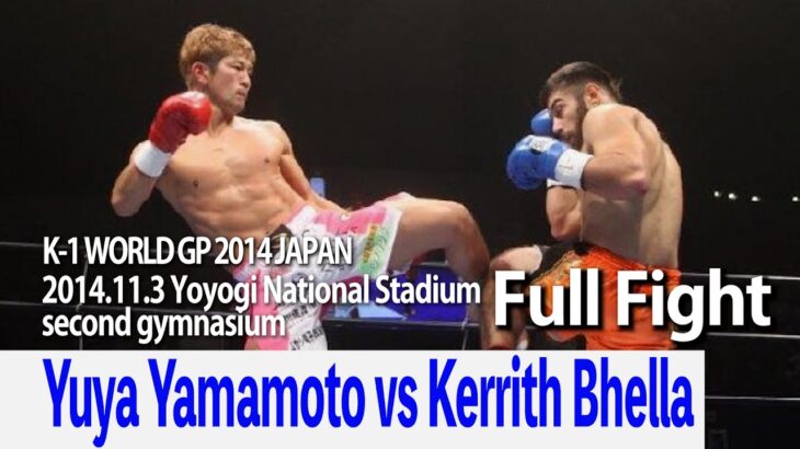 Yuya Yamamoto vs Kerrith Bhella 2014.11.3 Yoyogi National Stadium second gymnasium