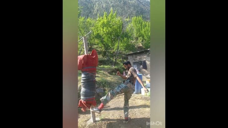 Kick boxing training at home with punching bag? #boxing #mma #onechampionship #tigermuythai