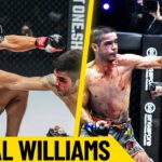 When Muay Thai Meets MMA 💥 Danial Williams is A Striking Savage