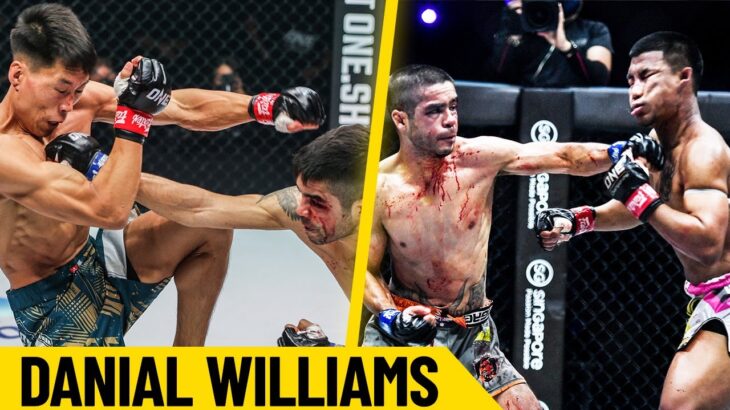 When Muay Thai Meets MMA 💥 Danial Williams is A Striking Savage