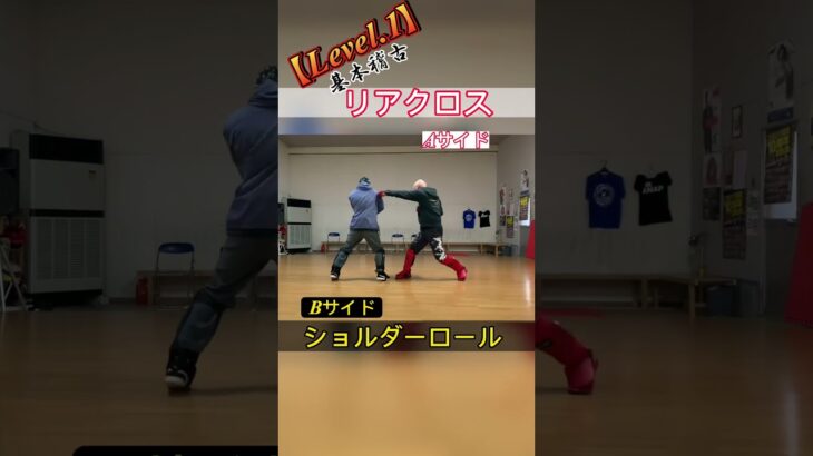 【トレーニング動画 15】# #ジークンドー #詠春拳 #silat #shots