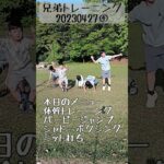 【ボクシング】20230427④トレーニング【バーピージャンプ】 #shorts#ボクシング#大家族#格闘技