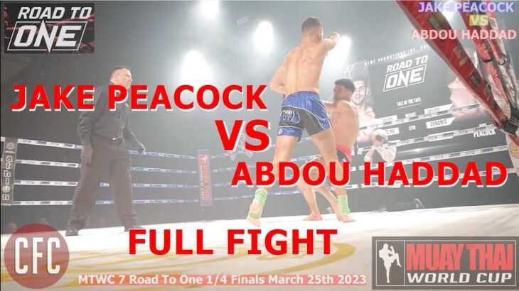 Jake Peacock vs Abdou Haddad  | MTWC 7 Road to One #muaythai #onechampionship #ko