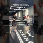 Для чего стоит работать на лапах  #boxing #mma #onechampionship #coffee