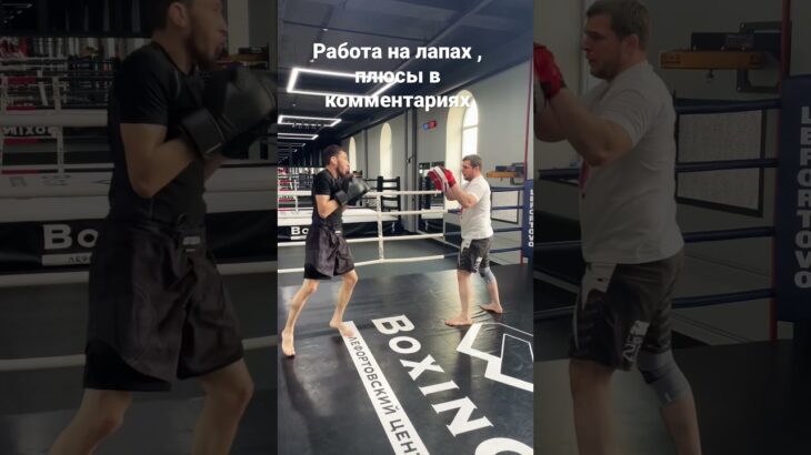 Для чего стоит работать на лапах  #boxing #mma #onechampionship #coffee