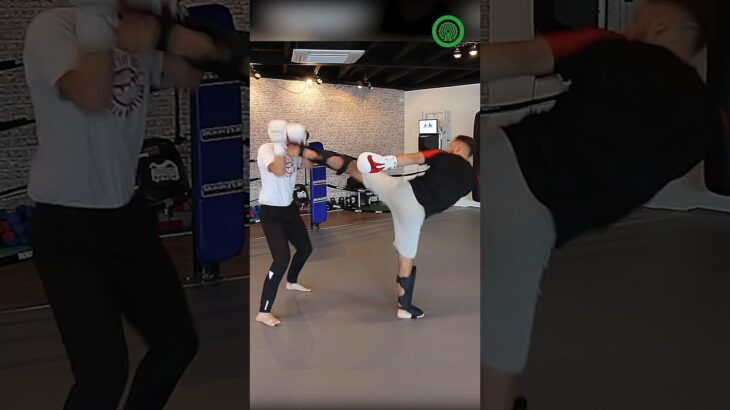 Andy Souwer K-1 Kickboxing Sparring Drills for Head Kicks