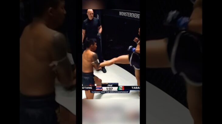 Cotovelada Insana de RodTang Pelo One Championship #onechampionship #mma #brasil #viral #lutas