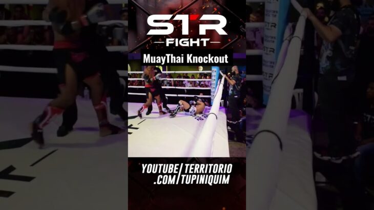 Muay Thai Knockout STR Fight #muaythai #sport #short #fight #k1 #youtubeshorts #mma #boxe