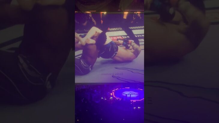 Nasty UFC Finishes 👀😱#mma #ufc #brasil #fight #onechampionship #bellator #boxing #thaiboxing