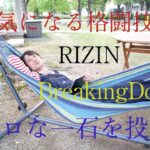 最近気になる格闘技の話　RIZIN　BreakingDown　ミクロな一石を投じる