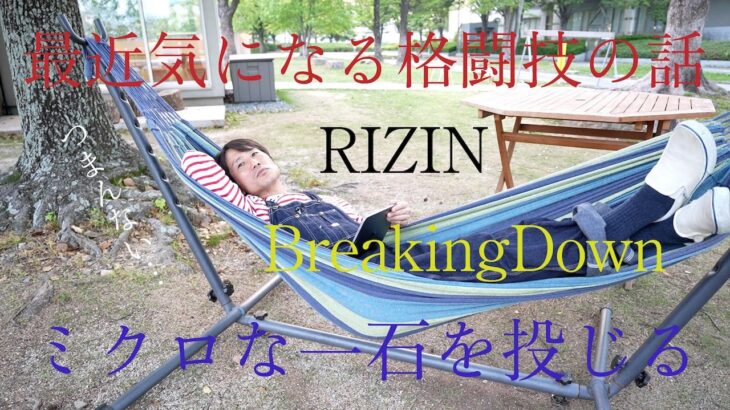 最近気になる格闘技の話　RIZIN　BreakingDown　ミクロな一石を投じる