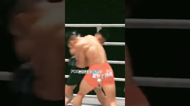 Punch knockdown highlights #ufc #shorts #mma #onechampionship