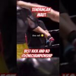 VIRAL BEST  K.O.. !!! TENDANGAN MAUT #fight #onechampionship #mma #sports