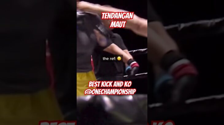 VIRAL BEST  K.O.. !!! TENDANGAN MAUT #fight #onechampionship #mma #sports