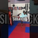 #kick #sidekick #mma #muaythai #mmafighter #kickboxing #onechampionship #glorykickboxing #shorts