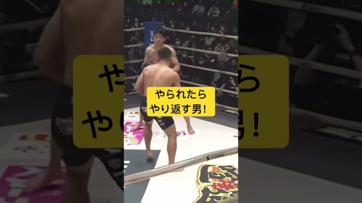 これが俺達の恭二！#格闘技 #mma #rizin #堀口恭二 #朝倉海