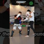 Andy Souwer K-1 Kickboxing – Drawing the Jab to High Volume Striking