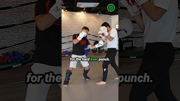 Andy Souwer K-1 Kickboxing – Drawing the Jab to High Volume Striking