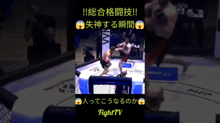 ＃FightTV　＃＃MMA  ＃キックボクシング　＃ムエタイ　＃テコンドー　＃ボクシング　＃空手