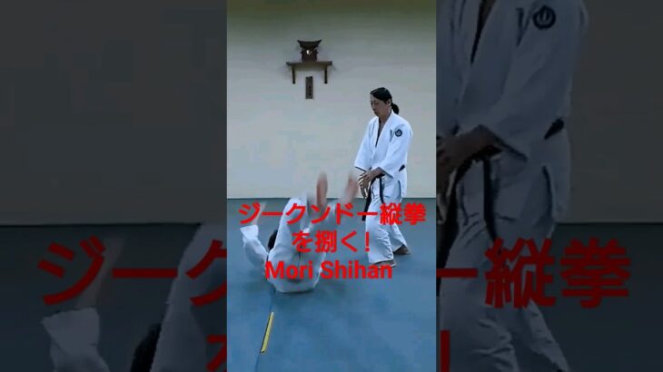 Mori Shihan 8thDan「ジークンドーの縦拳を合氣道に組み込む」森道治師範八段 [ Self-defense ] Aikido Yoshinkan AUS 合氣道養神館豪州道場