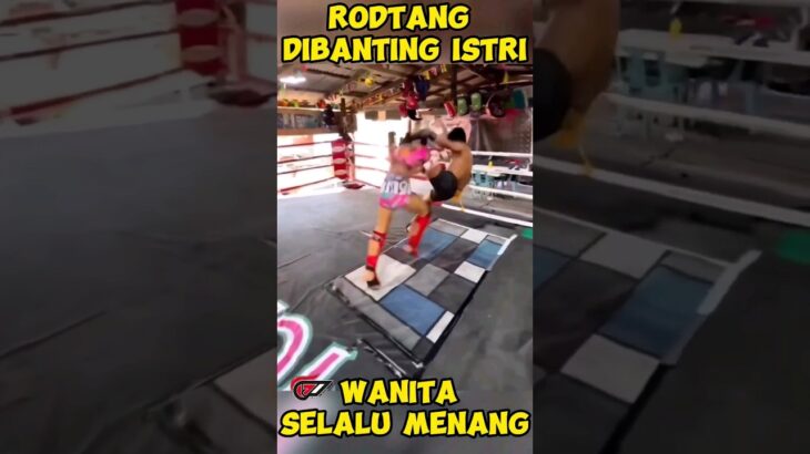 RODTANG SIBANTING SANG ISTRI #mma #rodtang #onechampionship #muaythai