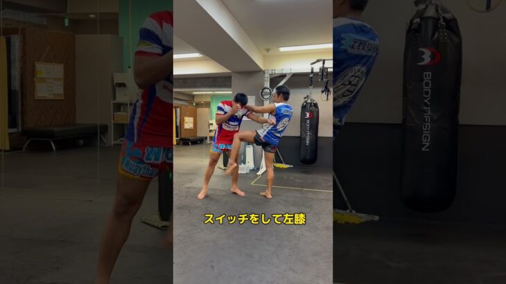 膝のカウンター🦵 #kickboxing #muaythai #キックボクシング #ムエタイ #ブレイキングダウン #格闘技