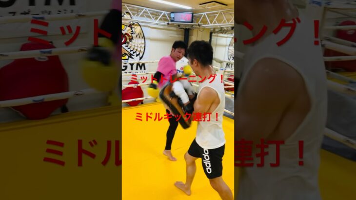 [キックボクシング　格闘技　トレーニング] ミットトレーニング！　ミドルキック連打！　#キックボクシング #格闘技 #トレーニング