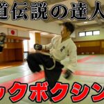 躰道とジークンドーの達人がキックボクシングで戦ったらどうなるのか