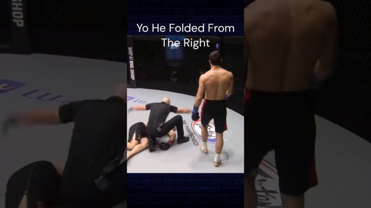 D**N He Just Folded. #highlights #shorts #short #mma #tko #ufc #onechampionship #clips