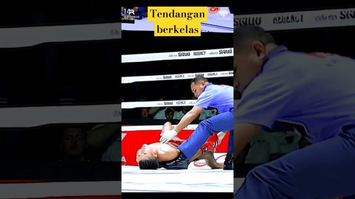 Efek Tendangan Sempurna #ufc #mma #onechampionship #muaythai