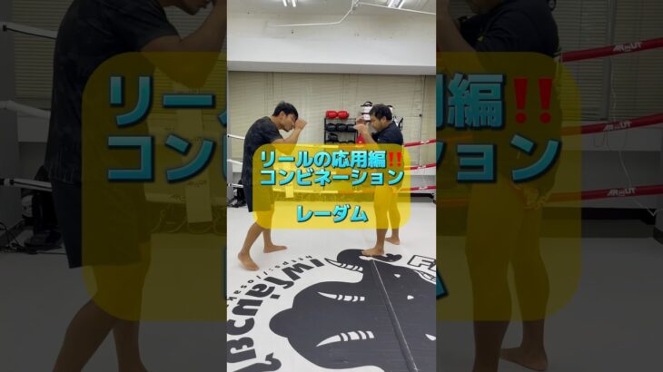 応用編！コンビネーション #kickboxing #muaythai #キックボクシング #ムエタイ #ブレイキングダウン #格闘技 #テクニック