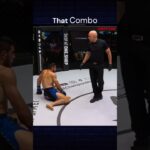 Combo to TKO #highlights #onechampionship #mma #shorts #short #highlights #fight #fitness #ufc