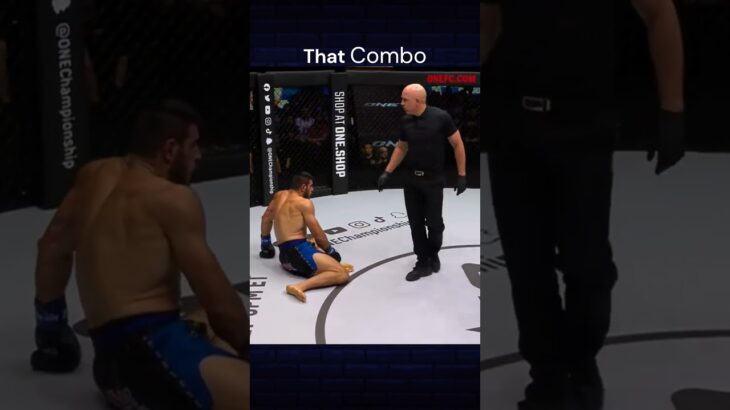 Combo to TKO #highlights #onechampionship #mma #shorts #short #highlights #fight #fitness #ufc