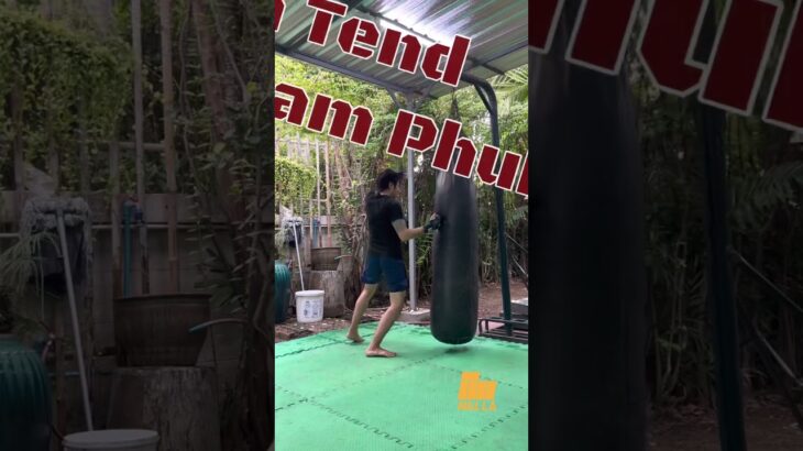 Muay Thai Chaiya Combination #muaychaiya #muaythai #ムエタイ #muaythaitraining #muaythaitechnique #combo