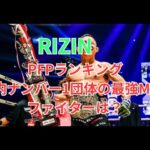 【RIZIN】日本最大の格闘技興行団体RIZINの極私的PFPランキング ！！＃RIZIN　＃PFP　＃堀口恭司　＃金原正徳　＃ケラモフ　＃ホベルト・サトシ・ソウザ