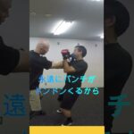 CHAIN PUNCHES #kungfu #ジークンドー#詠春拳