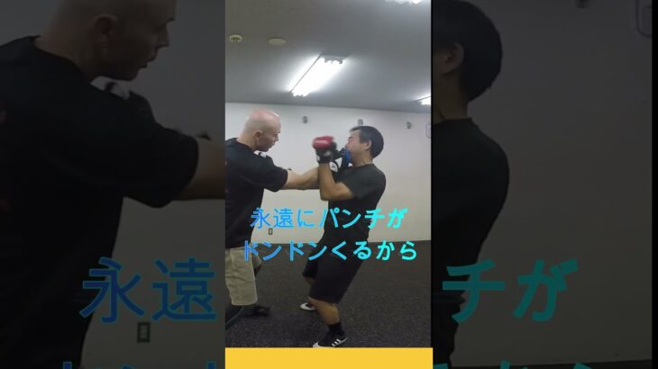 CHAIN PUNCHES #kungfu #ジークンドー#詠春拳