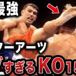 【Ｋ１伝説】ピーターアーツ全盛期のエグすぎるKO15連発がヤバすぎた【格闘技解説】