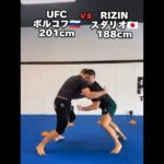 【UFC vs. RIZIN】ヘビー級 ボルコフ🇷🇺 vs. スダリオ🇯🇵