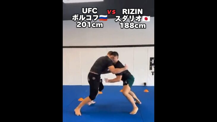 【UFC vs. RIZIN】ヘビー級 ボルコフ🇷🇺 vs. スダリオ🇯🇵