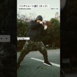 パンチショート連打（キック）  kickboxing shadow   #martialarts  #mma  #muaythai  #sports  #shorts